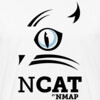 nmap ncat